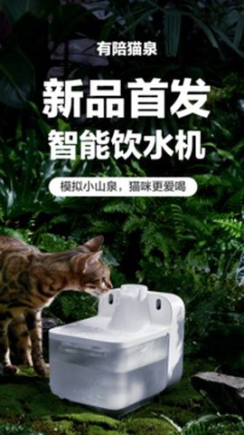 有陪图1