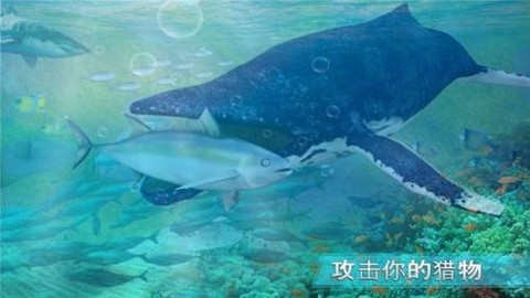 全民养鲨鱼图1