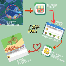 我的小海岛[图3]