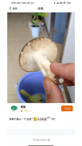 菌窝子[图1]