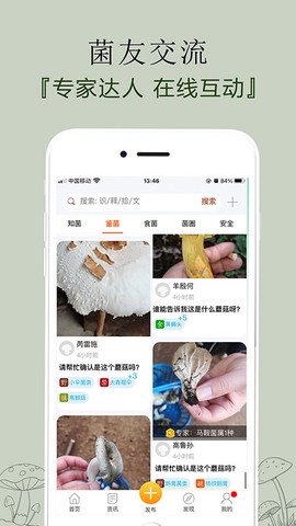 菌窝子图2