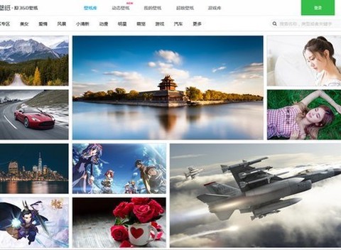 小鸟壁纸图2