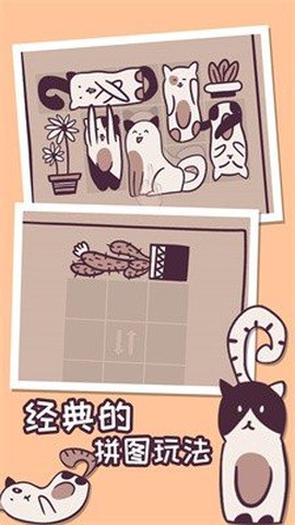我的小猫贼好看图3