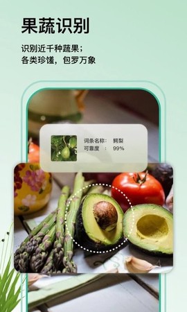 植物大师图3