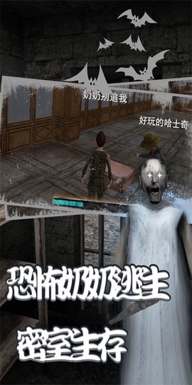 模拟老奶奶图3