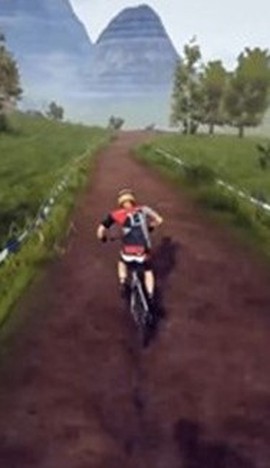 飞跃自行车图1
