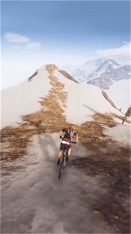 飞跃自行车图2