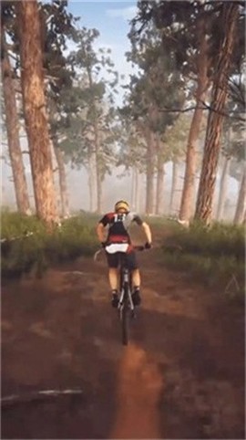 飞跃自行车图3
