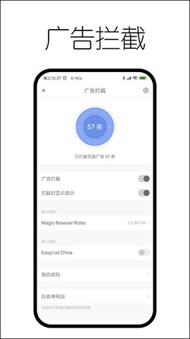 神奇浏览器图3