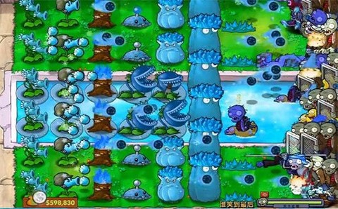 植物大战僵尸寒冰版图3