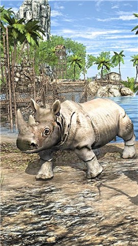 海岛荒野生存图2