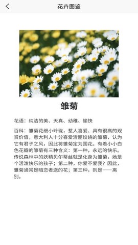 鲜花知识星球图1