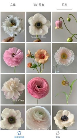鲜花知识星球图2