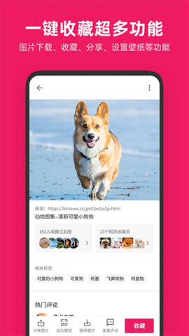 图片搜搜图3