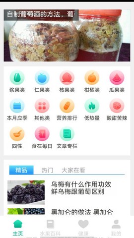 口袋水果图1