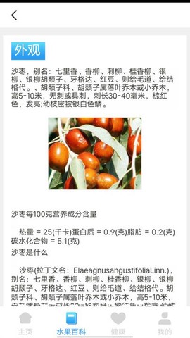 口袋水果图3