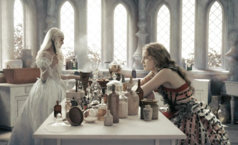 森林视频[图3]