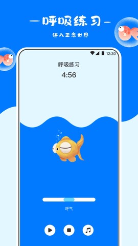 冥想金鱼图1