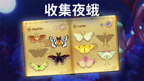 彩翼之星夜图2
