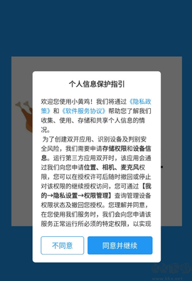 小黄鸡[图3]