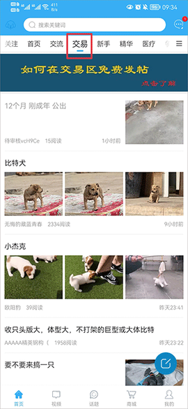 猛犬俱乐部[图1]