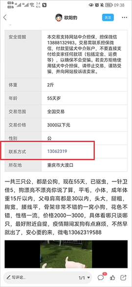 猛犬俱乐部[图2]