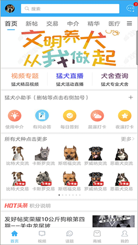 猛犬俱乐部图1