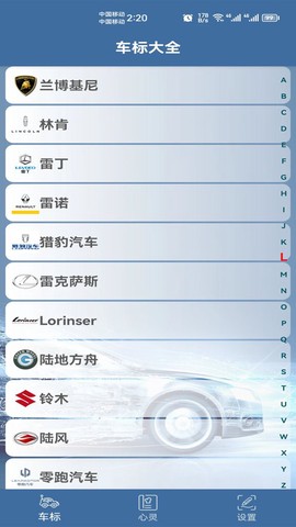 车标识车图1