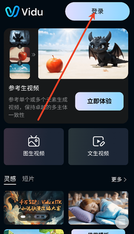 vidu魔法p图[图2]