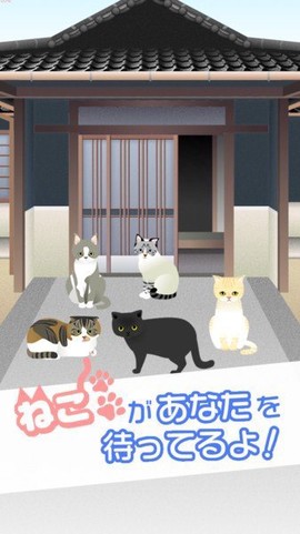 可爱猫咪满满2图1