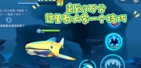 鱼吃鱼手游版[图5]
