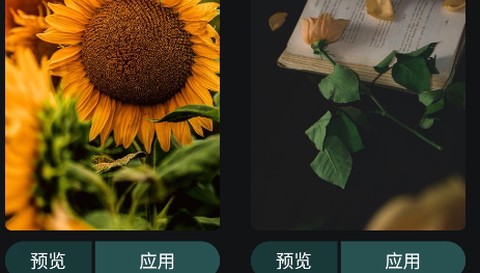 嗨炫壁纸[图2]