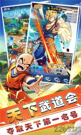 七星龙珠官方版图3