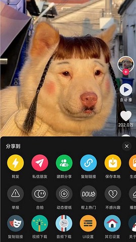 逗音小能手图2