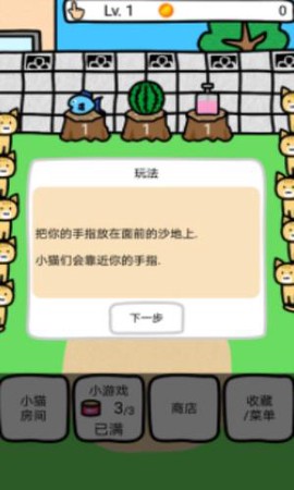 和猫咪一起玩[图1]