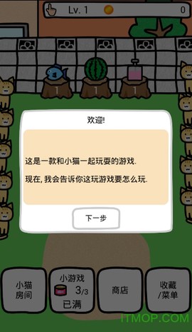 和猫咪一起玩图1