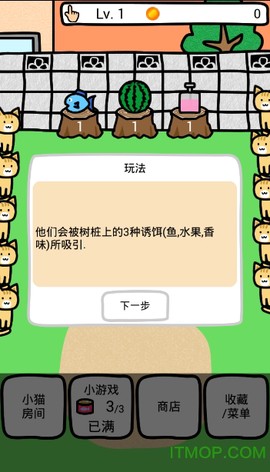 和猫咪一起玩图3