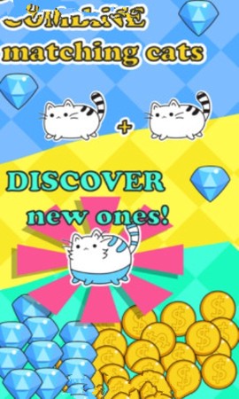等一只猫咪图2