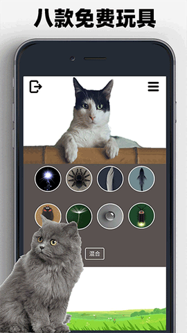 猫狗玩具模拟器图3