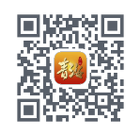 青海老干部[图2]