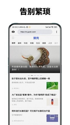 暮光浏览器图2