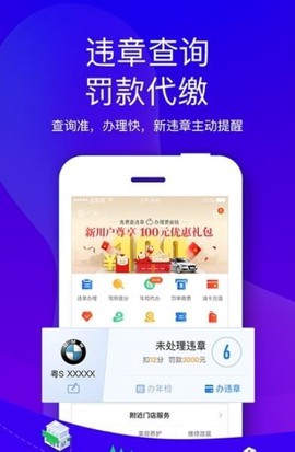 车主易查图1
