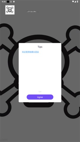 骷髅头图2
