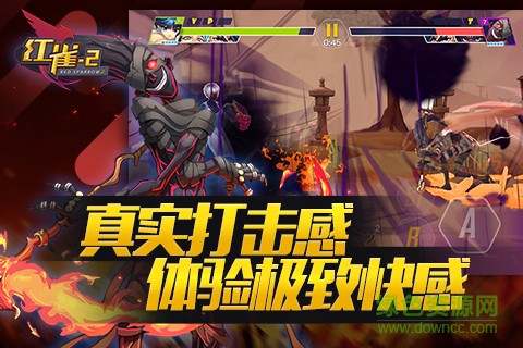 红雀2图3