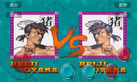 豪血寺一族中文版图3