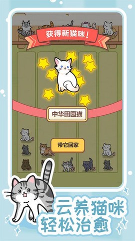 解压猫咪图2