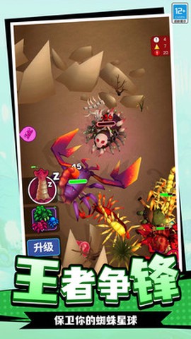蛛蛛历险记[图1]