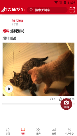 大埔发布图2