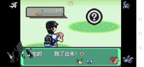 口袋妖怪：日月宝石八木特别篇[图2]