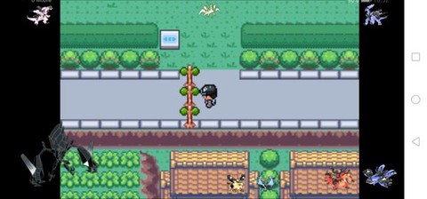 口袋妖怪：日月宝石八木特别篇[图3]